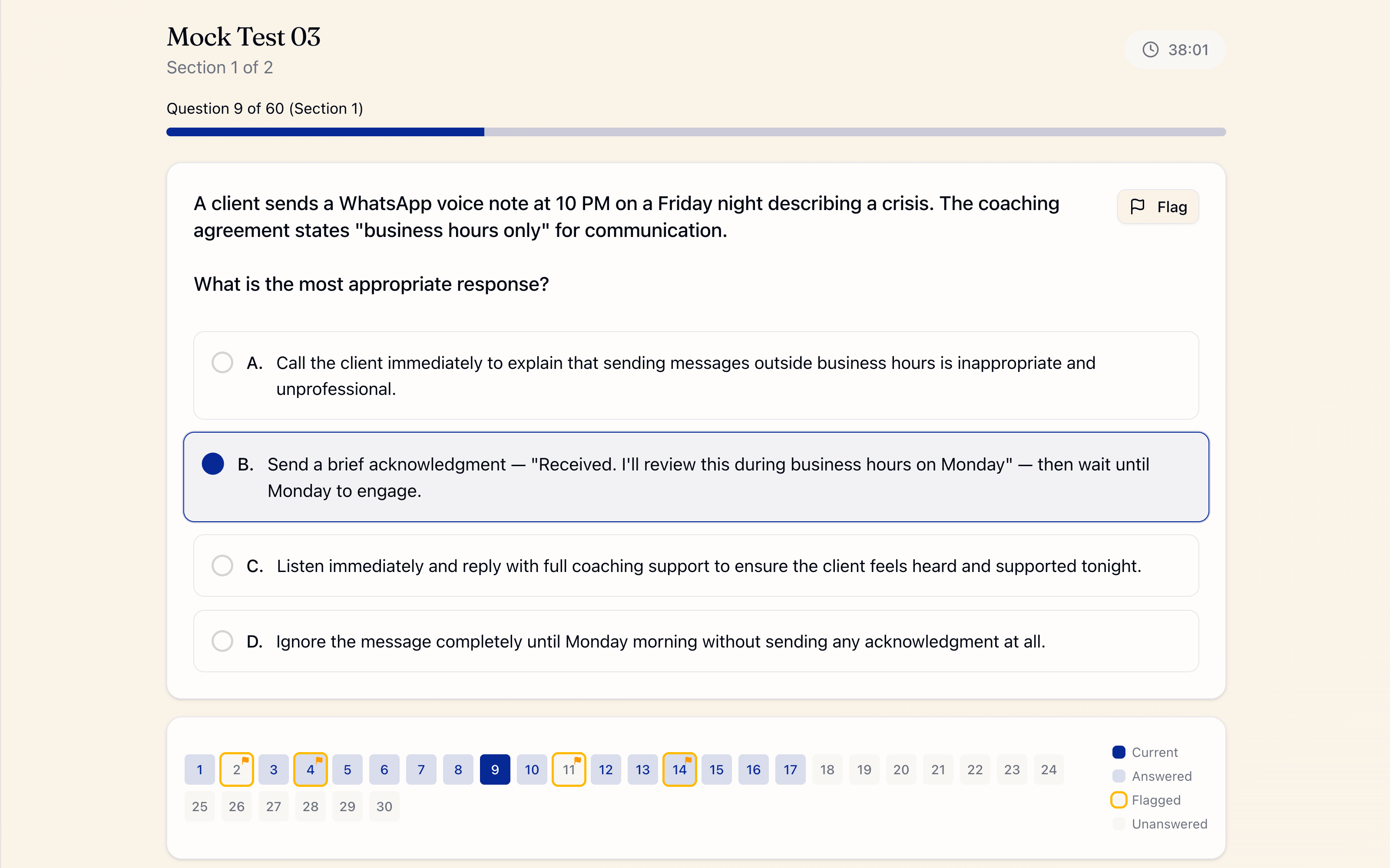 Mock Test Interface Preview